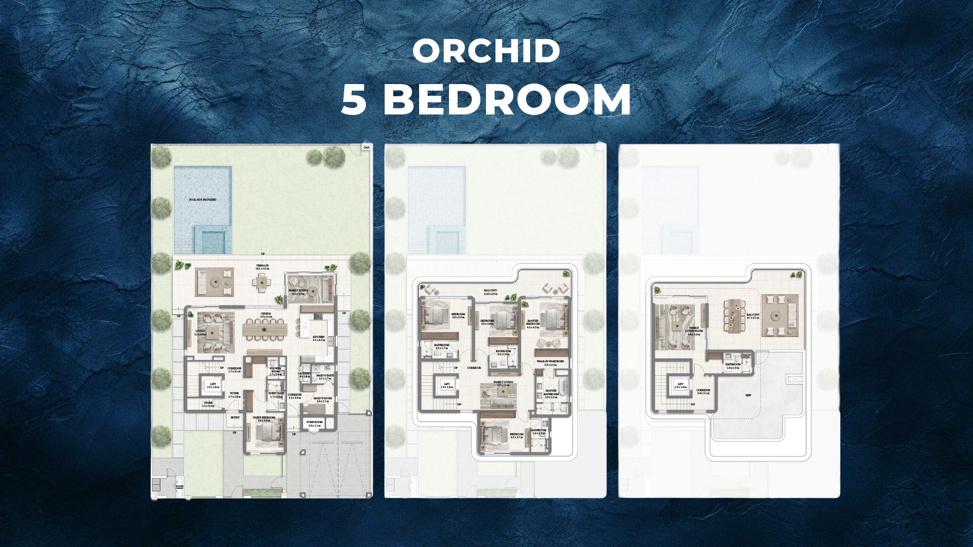 5 Bedroom Villas